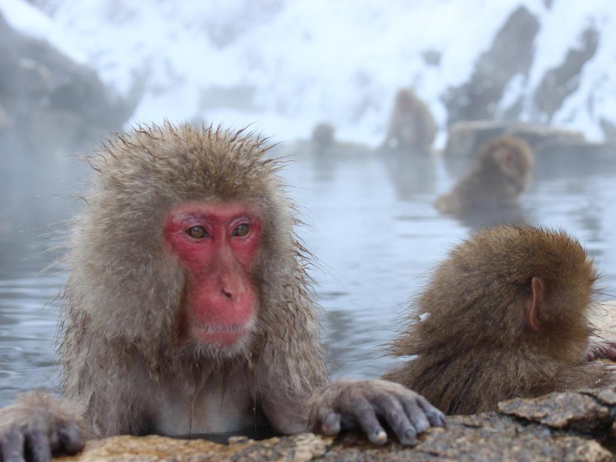 Minshuku Miyama Hotell Nakano  Exteriör bild